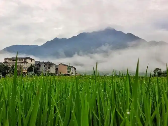 晨曦丽水0731b——《山脚下那村那田》 - 抖音