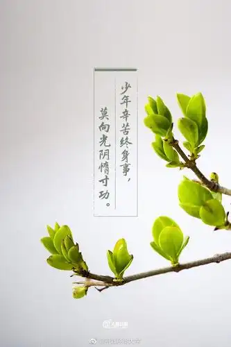 一起感受古诗词里的励志情怀