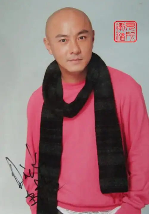 中国影坛十大光头明星