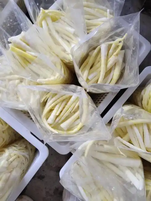 清水笋罐头 清水罗笋