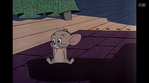 猫和老鼠补番截图 - 堆糖,美图壁纸兴趣社区