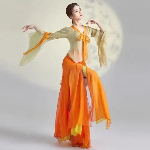 古典舞蹈服女飘逸仙气上衣身韵纱衣练功服古风民族舞演出服长款