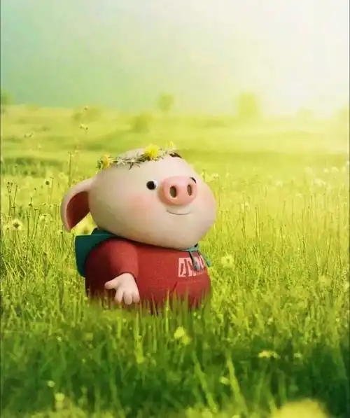 【猪年吉祥如意】不经意在网上收集了许多快乐呆萌小猪图片,很是讨人