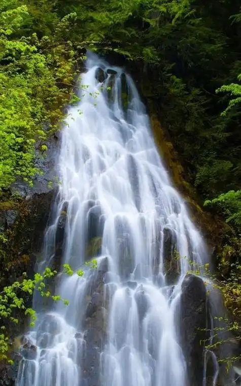 人生最美风景,就是蓦然回首,一笑而过的淡然