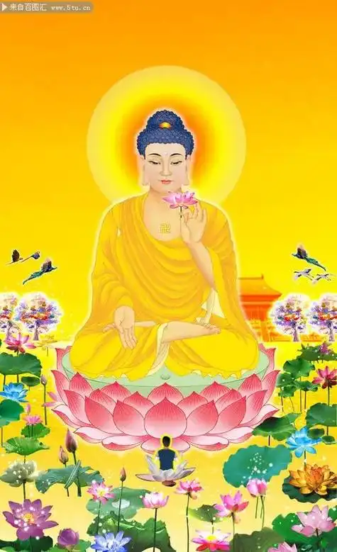 明天,十一月十七,阿弥陀佛生日,恭请大家吃素,念佛放生,回相 - 抖音