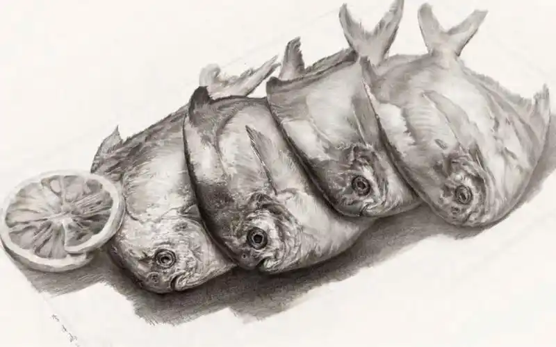 鱼#素描静物#美术老师#美术生#研修班