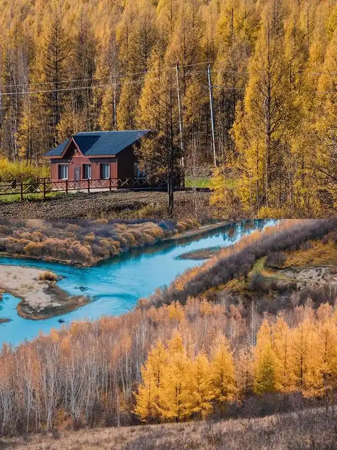 草原,大兴安岭林海, - 抖音