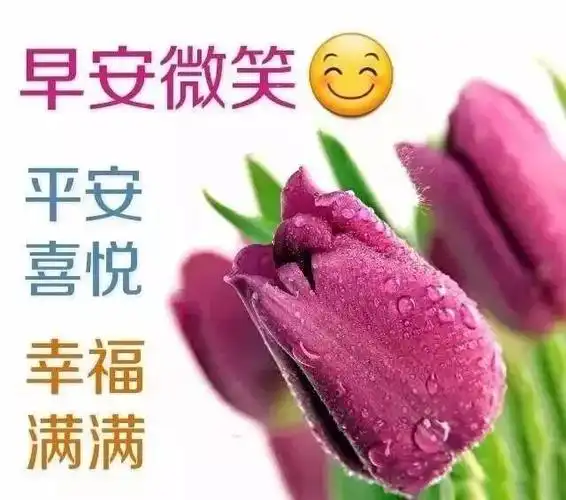 秋天的最美早安问候动态图片带字语带鲜花表情句子语录