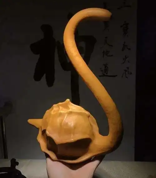 纯爷们才敢挑战的巨型文玩葫芦