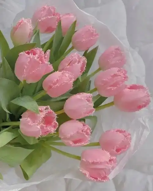 蹲一波朋友圈封面背景图? - 知乎