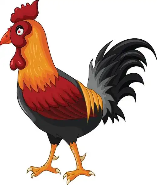 可爱的卡通公鸡图片