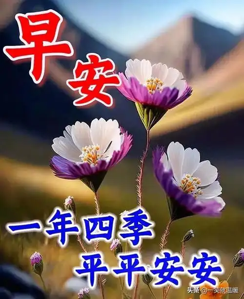 5月8日早安语录~唯美图片最新消息动态公布-北斗民商大数据