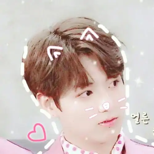 防弹bts田柾国头像