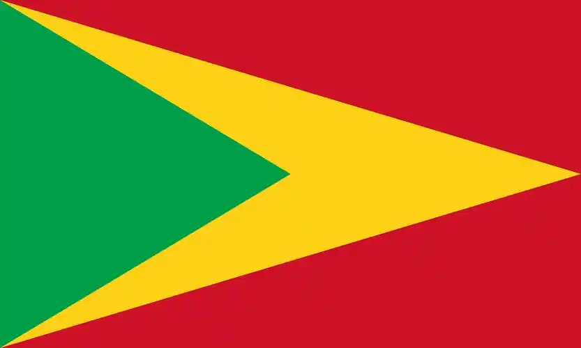 圭亚那合作共和国国旗