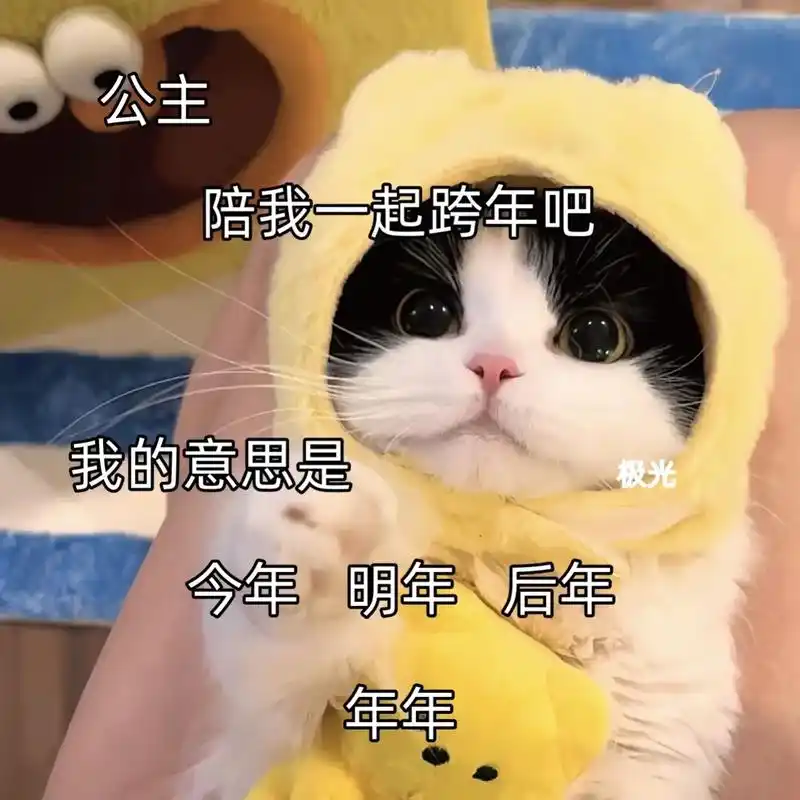 公主 陪我一起跨年吧! 今年 明年 年年#表情包 #发给对 - 抖音