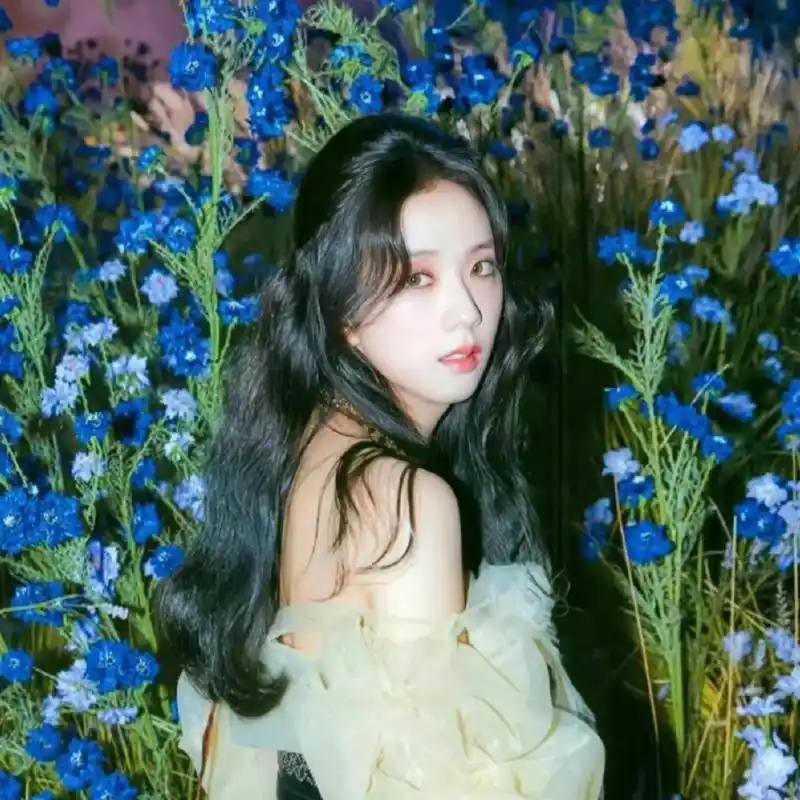 金智秀头像 『"车窗精灵"jisoo金智秀』9398 秀秀好米9291