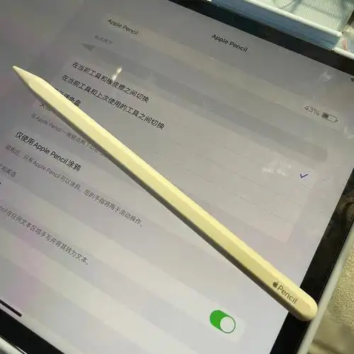 并夕夕applepencil展飙pencil二代安全下车