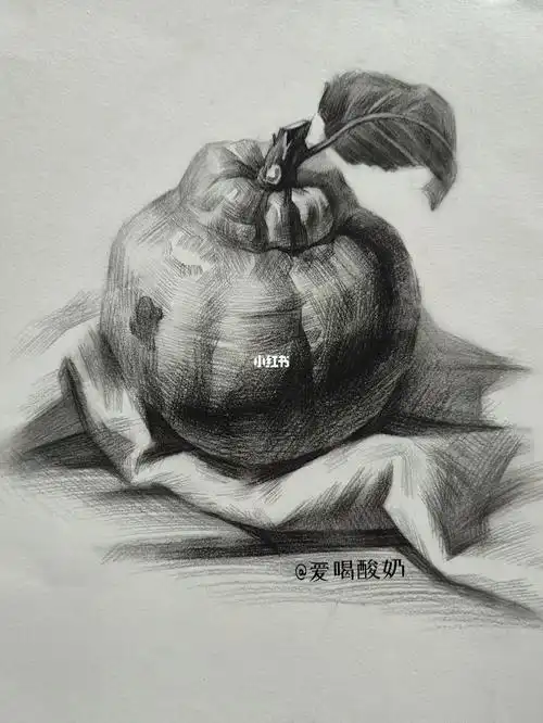 素描单个静物丑橘