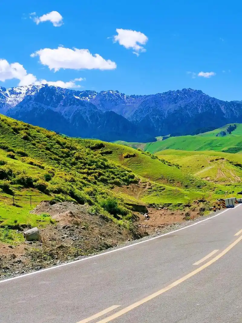 风景如画心旷神怡夏日的一天,自由人自由行,风景哪好车停哪,雪山草地