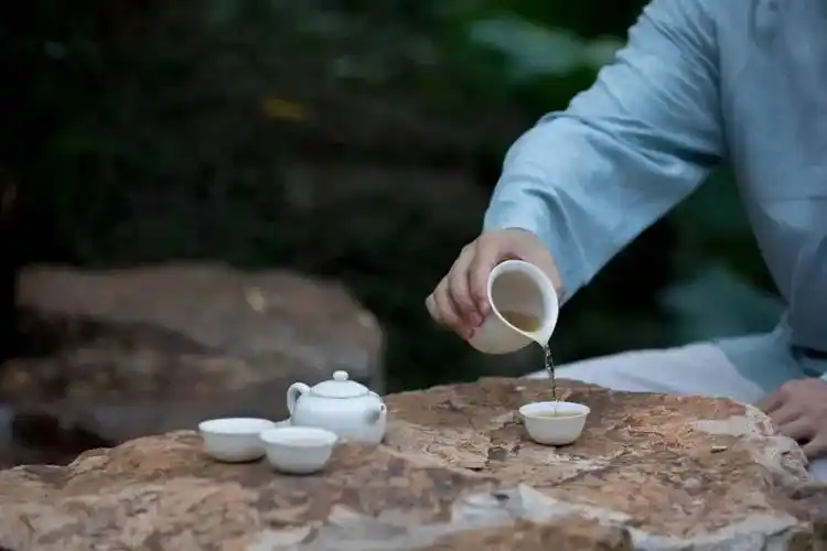 调节体质,从喝茶开始!