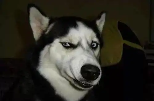 viewpager   fragment 实现懒加载