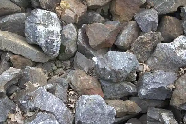 日本丰羽铅锌矿选矿厂