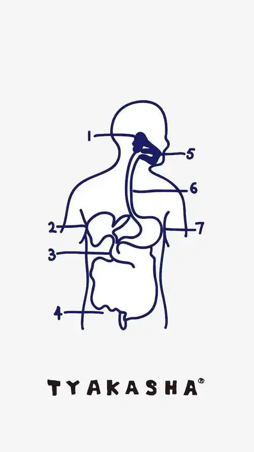 手绘人体内脏解析图