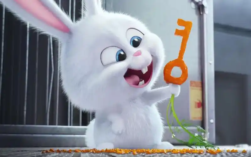 爱宠大机密2兔子_哔哩哔哩_bilibili