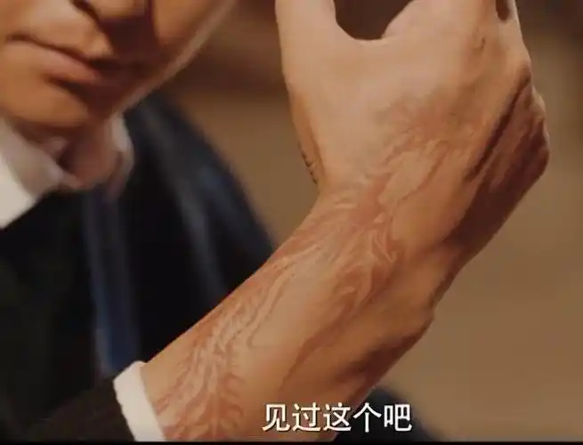 表面上看好像是只有血统纯正的张家族人都会有麒麟纹身,其实不然在