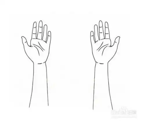 手怎区分左右手