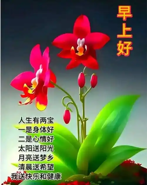 11月13日周一早上好,最新暖心的早安祝福图片带字问候语录_生活_心情