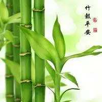 中国传统微信福寿头像 传统福寿寓意头像_微信头像图片大全