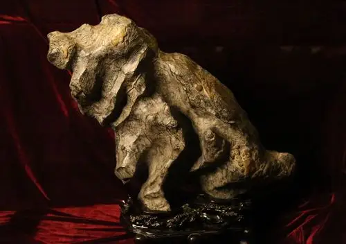 "艺静"奇石馆八周年庆