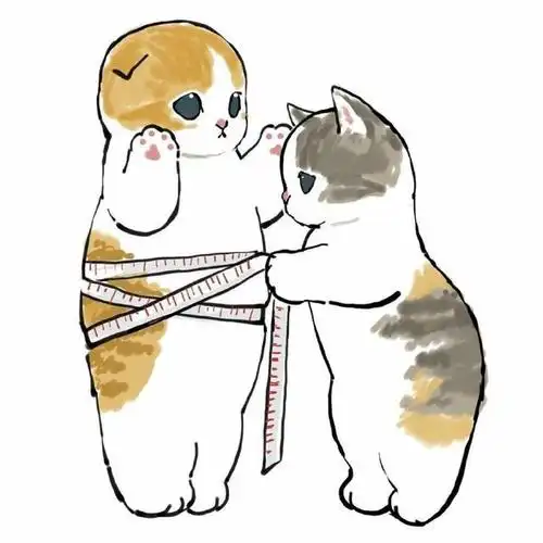 玩耍的小猫:过来,我给你量量尺寸做衣服