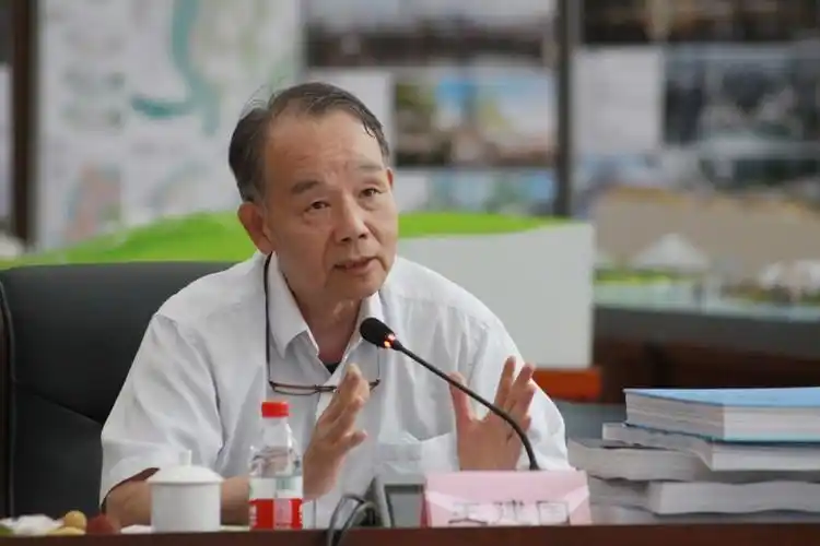 中国工程院院士,东南大学教授王建国(央广网发 南滨路建设发展中心供