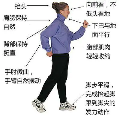 当然,正确的走路姿势也很关键:因为世界卫生组织早已认定:走路是"世界