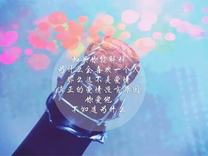 与爱情有关的文字图片,高清图片