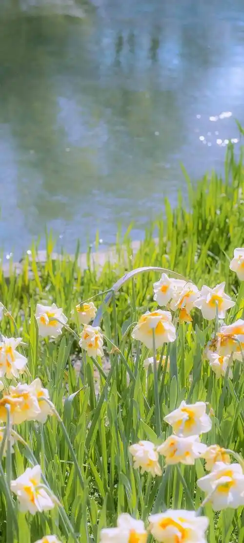 手机壁纸 高级ins冷淡风_侵权_来自_网络