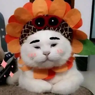 可爱又不失沙雕的头像动物 这天气哪是降温明明就是阎王爷在冲业绩-腾