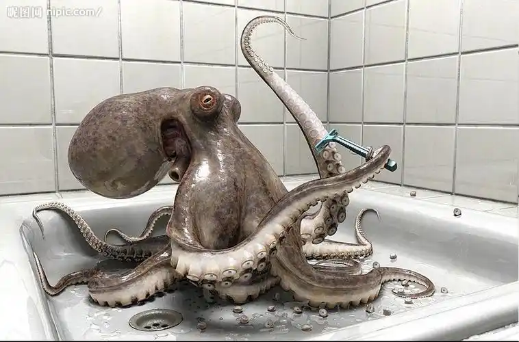 太平洋巨型章鱼