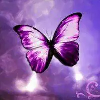 唯美淡紫色蝴蝶头像_微信头像图片大全