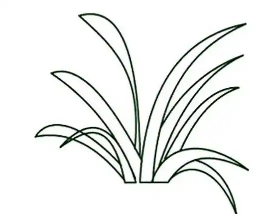 简单好看的小草简笔画小草卡通简笔画图片画法各种画法的小草简笔画