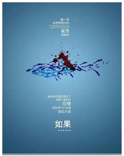 呼吁保护海洋物种传承海洋文明