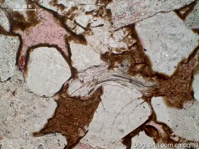 碎屑岩组分的显微镜下特征系列之胶结物2