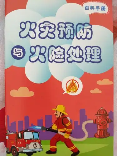 凌云小学预防火灾及公共安全应急手册宣传海报