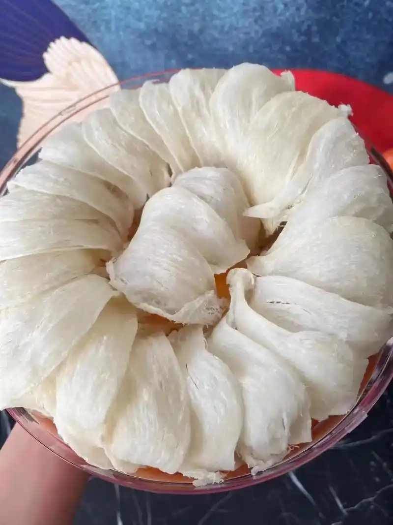 泰国燕窝厂家直销.土豪版   干挑原盏大盏,顶级品质,对品质 - 抖音