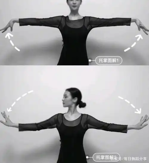 古典舞的基本手位