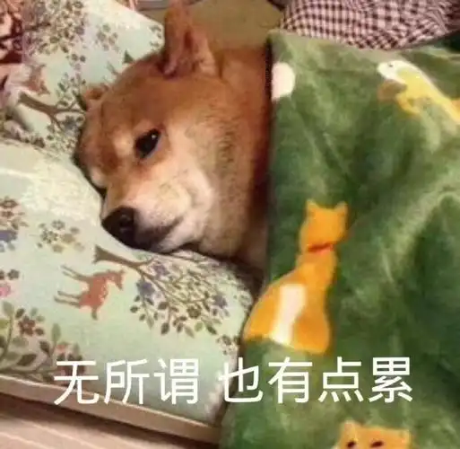 无所谓也有点累(狗子表情包)_狗子_有点累_无所谓表情