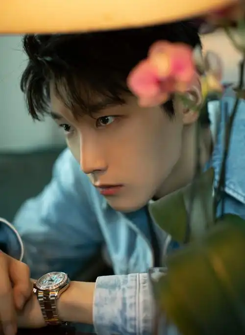 邢昭林牛仔服帅气写真图片