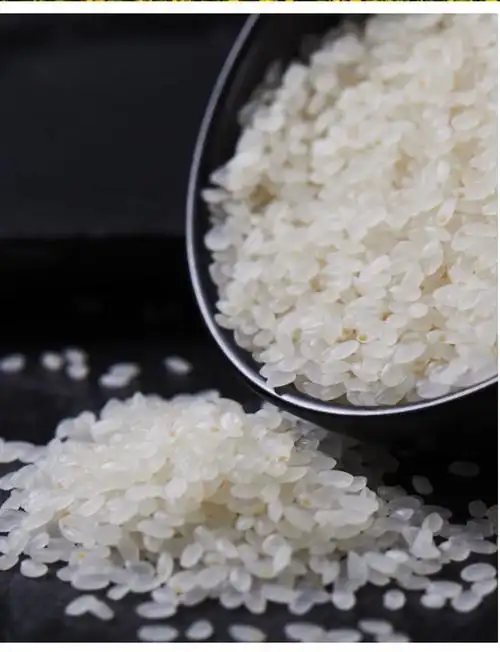 日本大米越光米25kg当季新米寿司米珍珠米粳米胚芽米东北大米5斤太极